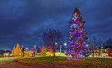 Victoria Park Christmas Tree_47574-82